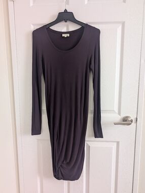 Wilfred Free Aritzia Ruched Side Drape Midi Dress Quiet Luxury Plum Minimalist S